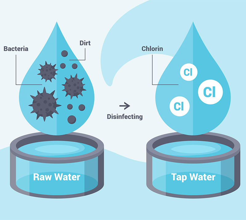 AquaVigil Lab – Ensuring safe water, sustainable environment, and healthier
              communities across Kerala.